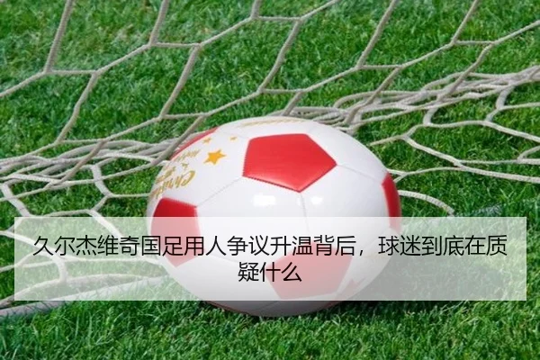 久尔杰维奇国足用人争议升温背后，球迷到底在质疑什么（NetEaseSports）